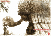 MNSRTT