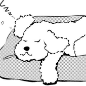 ちよだ🐕通販中