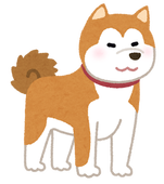 犬溶媒