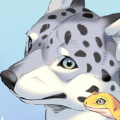 05