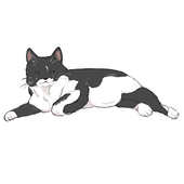 にすじ