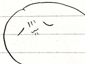 ポリﾑ〜