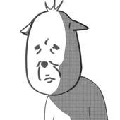 251125