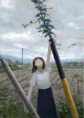 Le