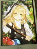 haruruの気まぐれ絵日記