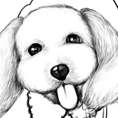 清影テル