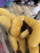 パァダヨォォン( ᐛ)