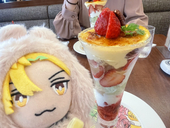 のりの不作