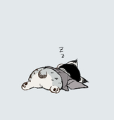犬井