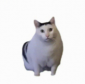 希希拉稀