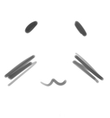 熏音_aka