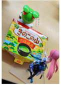 華劉貂