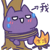 仲希月时