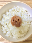 あきかぜ梅