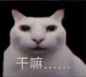 YiMengZzz