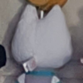 mvnae