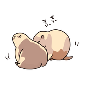 ゆき