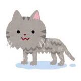 エノキコ