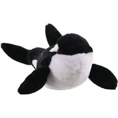 Orca
