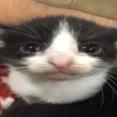み
