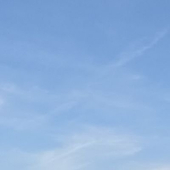 やこう