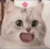 细勾小破孩