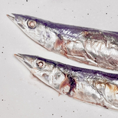 秋刀魚