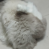 午时