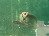うなぎん
