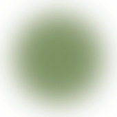 夢咲