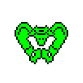 pelvis