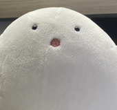 燕麥加葡萄乾