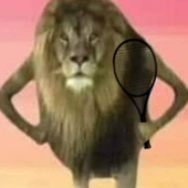 Hoynoywip