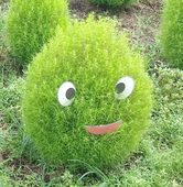 あんこぱすた