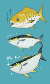 サワラ