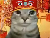 369