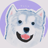 アッシュ