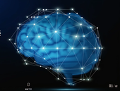 Synapse