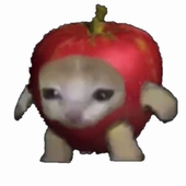 ぱぴほ