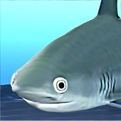 washiStep