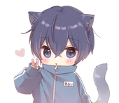 はしも きくり