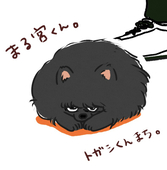 錆が酷い