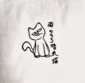 雨のち晴れ猫