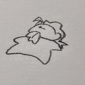 barakoそのうちけすよ