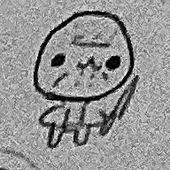貝殻