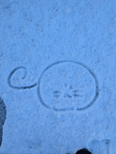 ✐