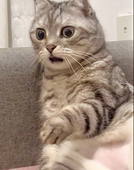 mi
