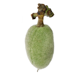 Almond