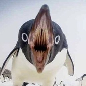 エ
