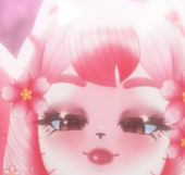 Isabae